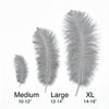 Ostrich Flexible Feathers 11-14" (Silver/Grey) - www.BuyOstrichFeathers.com