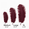 BULK 1/2lb Ostrich Feather Tail Plumes 15-20" (Burgundy) - www.BuyOstrichFeathers.com