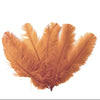 Ostrich Flexible Feathers 11-14" (Champagne) - www.BuyOstrichFeathers.com