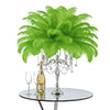 Ostrich Feather Spad Plumes 15-18" (Lime Green) - www.BuyOstrichFeathers.com