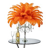 Ostrich Feather Tail Plumes 15-18" (Orange) - www.BuyOstrichFeathers.com