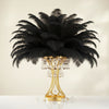 Ostrich Feather Rental 16-20" (Black) - 250pcs - www.BuyOstrichFeathers.com