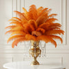 Ostrich Feather Tail Plumes 13-16" (Orange) - www.BuyOstrichFeathers.com