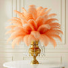 Ostrich Feather Tail Plumes 13-16" (Apricot) - www.BuyOstrichFeathers.com
