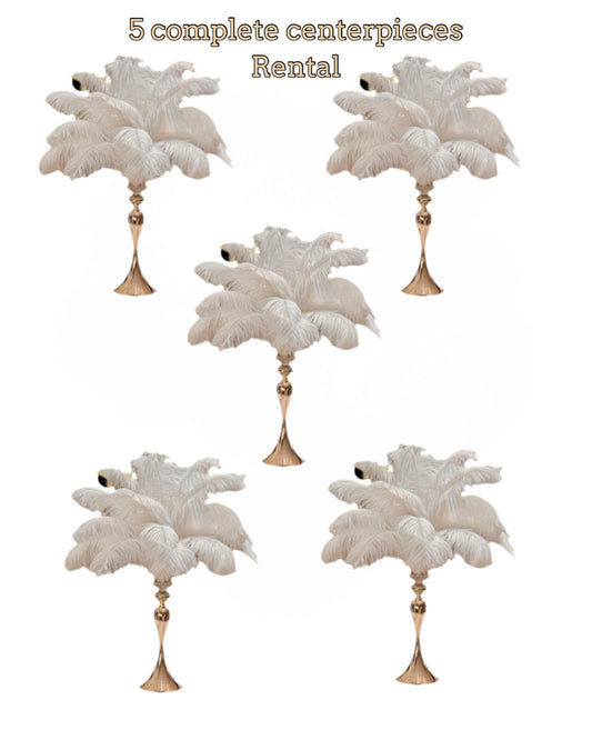 Centerpiece Rentals - Five Complete Ostrich Feather Centerpieces - www.BuyOstrichFeathers.com