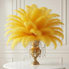 Ostrich Feather Rental 16-20" (Golden Yellow) - 250pcs - www.BuyOstrichFeathers.com