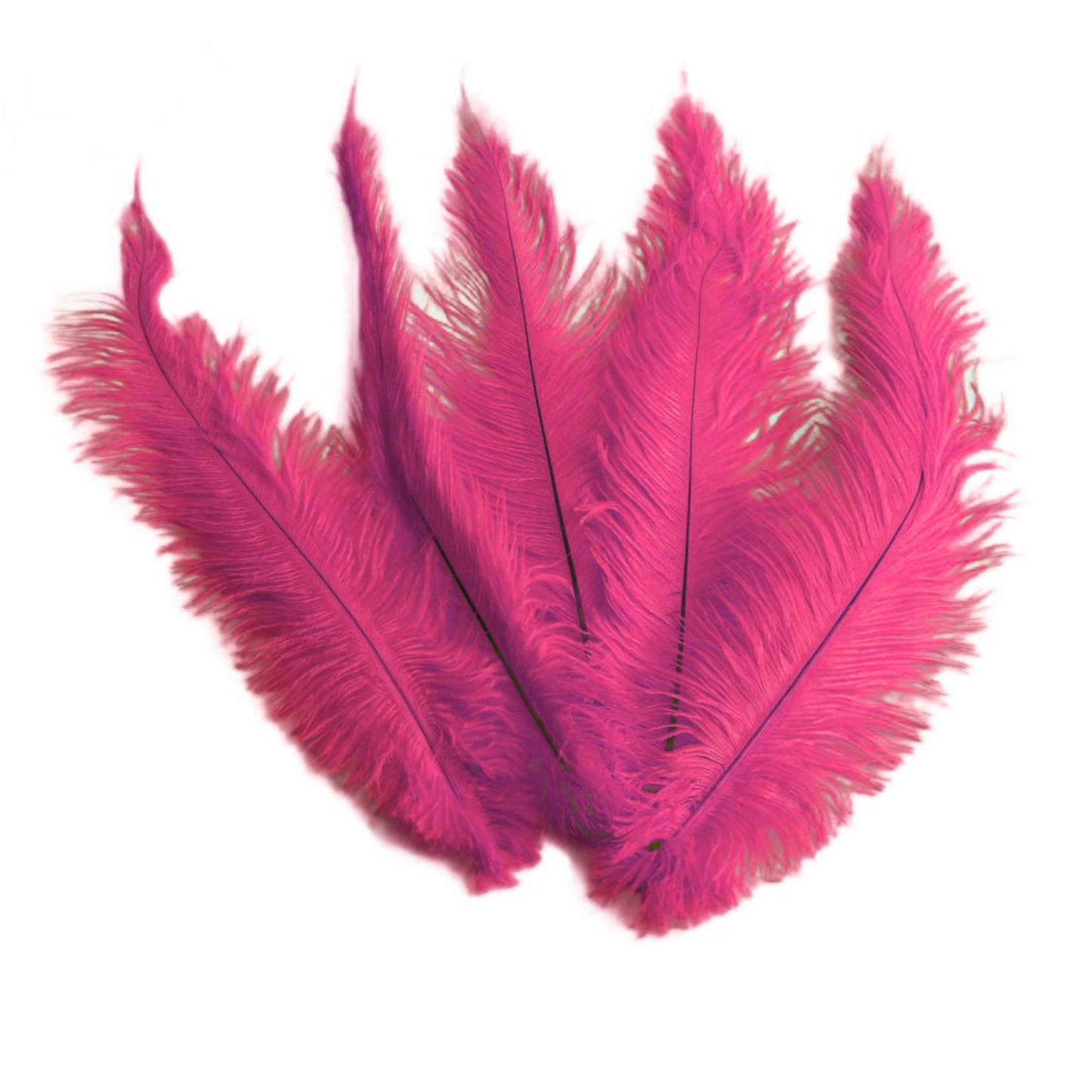 BULK 1/4lb Ostrich Feather Spad Plumes 12-16" (Dusty Rose) - www.BuyOstrichFeathers.com