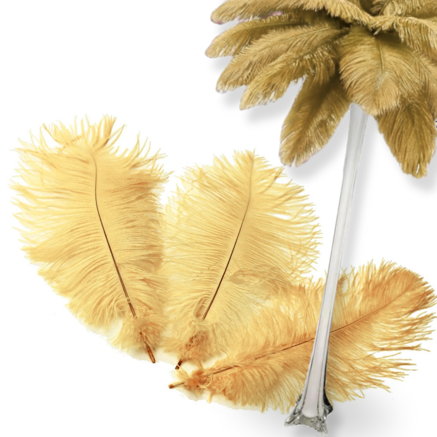 Complete Feather Centerpiece With 16" Vase (Champagne) - www.BuyOstrichFeathers.com