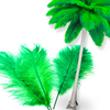 Complete Feather Centerpiece With 24" Vase (Lime Green) - www.BuyOstrichFeathers.com