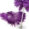 Complete Feather Centerpiece With 24" Vase (Plum) - www.BuyOstrichFeathers.com