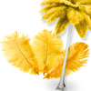 Complete Feather Centerpiece With 24" Vase (Yellow) - www.BuyOstrichFeathers.com