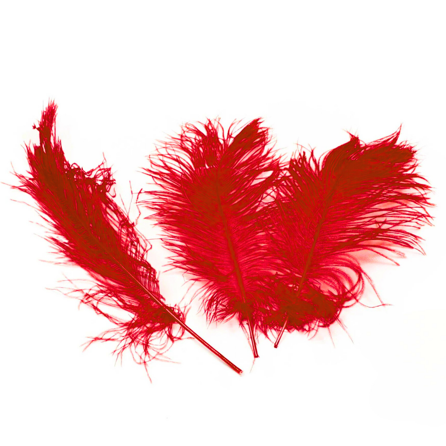 Ostrich Feather Tail Plumes 17-20" (Red) - www.BuyOstrichFeathers.com