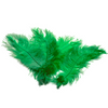 Ostrich Feather Tail Plumes 17-20" (Emerald Green) - www.BuyOstrichFeathers.com