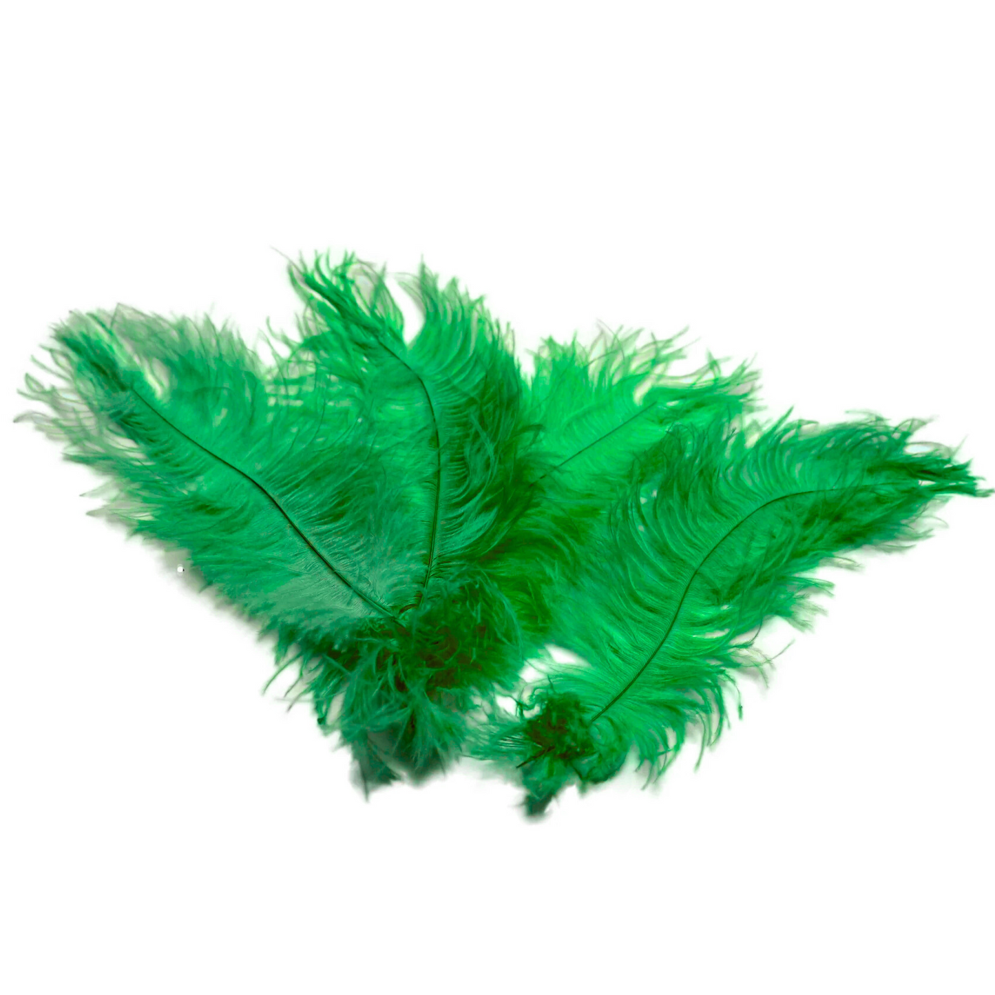 Ostrich Feather Tail Plumes 17-20" (Emerald Green) - www.BuyOstrichFeathers.com