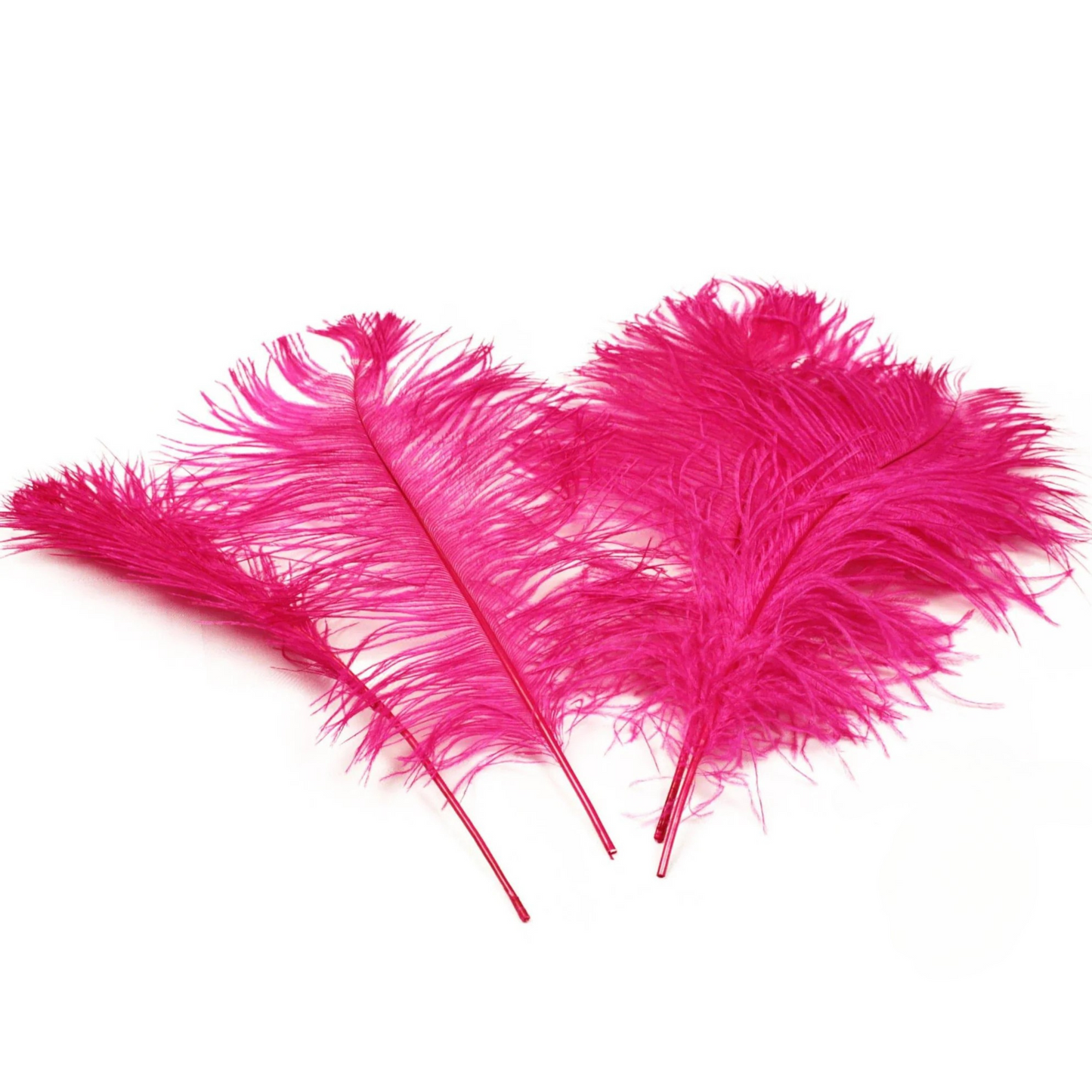 Ostrich Feather Tail Plumes 17-20" (Fuchsia) - www.BuyOstrichFeathers.com