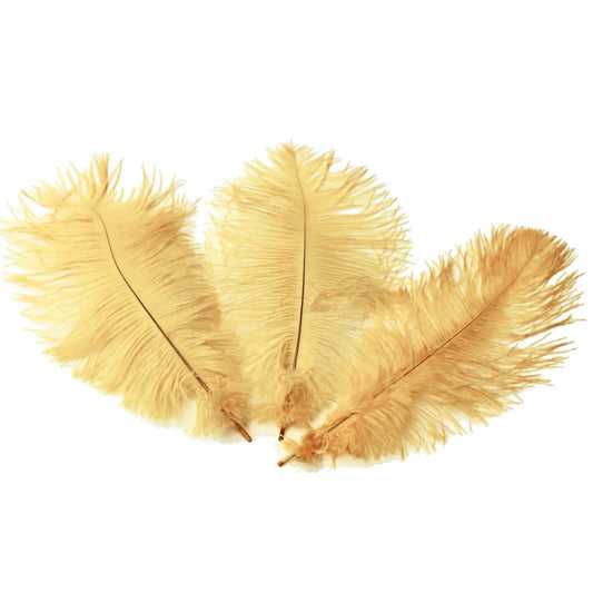 Ostrich Feather Tail Plumes 15-18" (Champagne) - www.BuyOstrichFeathers.com