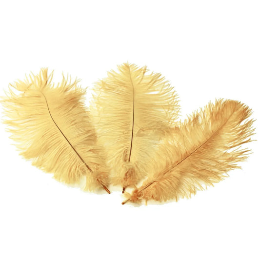 BULK 1/2lb Ostrich Feather Tail Plumes 15-20" (Champagne) - www.BuyOstrichFeathers.com