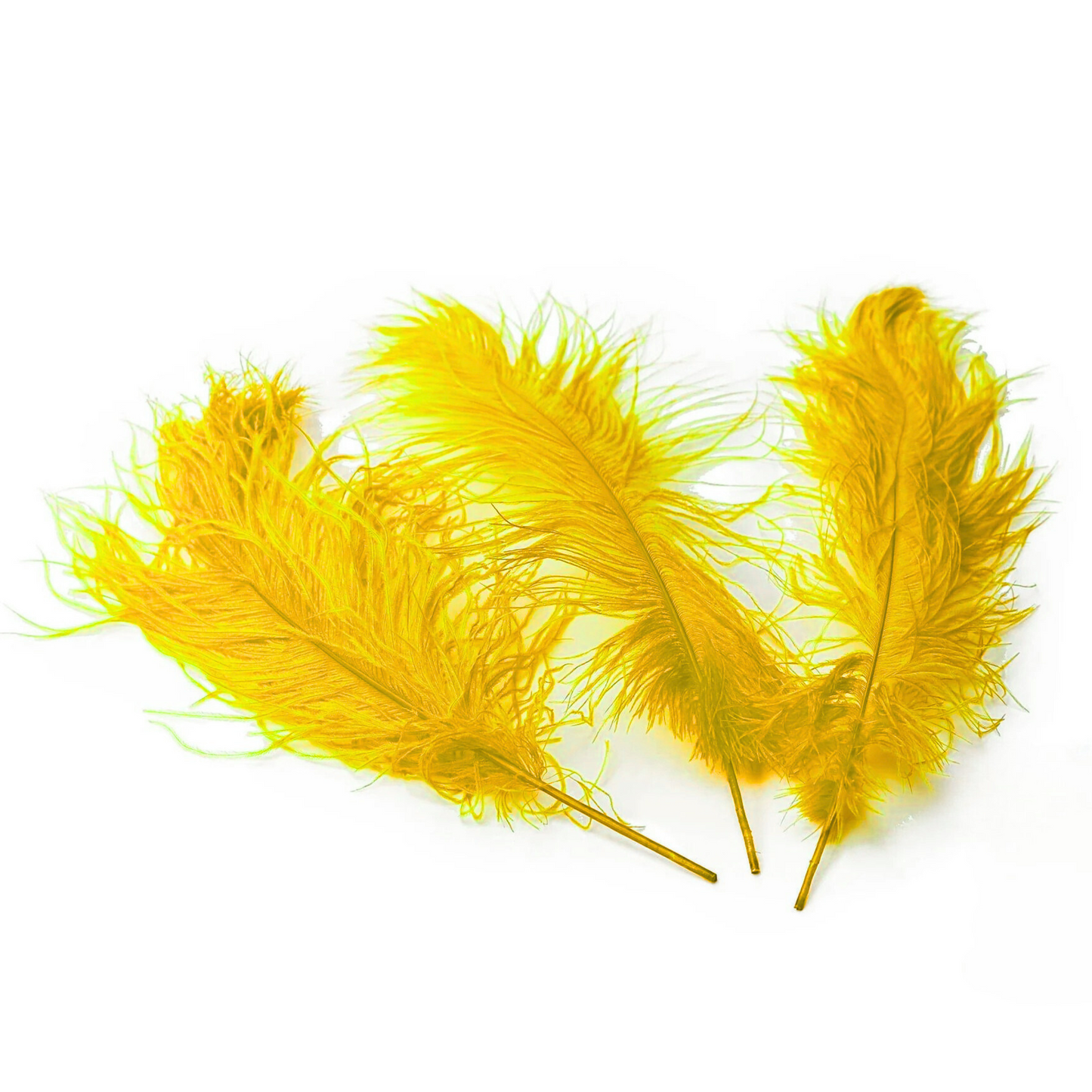 Ostrich Feather Tail Plumes 13-16" (Yellow) - www.BuyOstrichFeathers.com