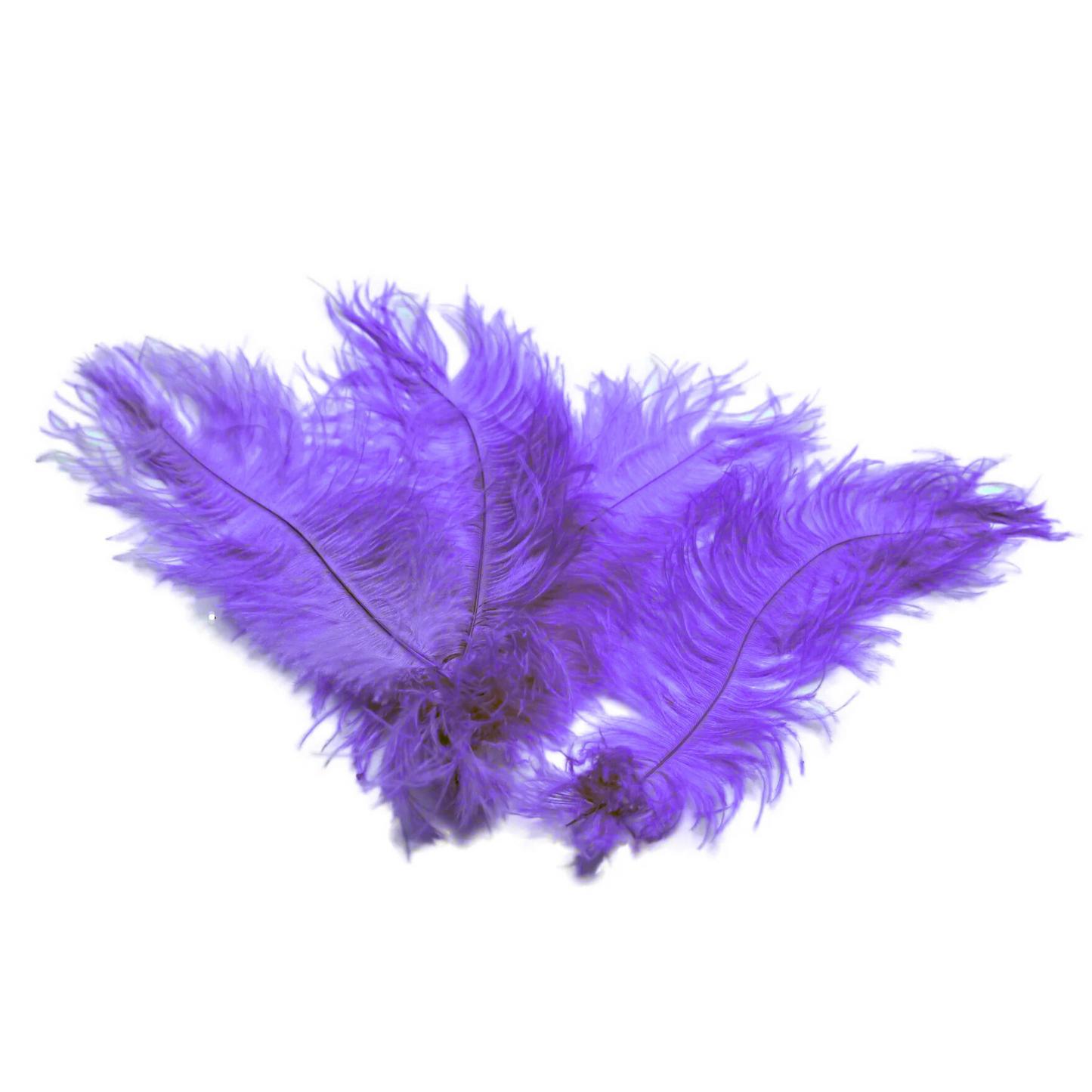 Ostrich Feather Tail Plumes 17-20" (Lavender) - www.BuyOstrichFeathers.com