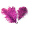 Ostrich Feather Tail Plumes 17-20" (Rose Pink) - www.BuyOstrichFeathers.com
