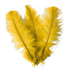 Ostrich Feather Spad Plumes 12-15" (Golden Yellow) - www.BuyOstrichFeathers.com