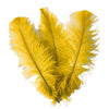 BULK 1/4lb Ostrich Feather Spad Plumes 12-16" (Golden Yellow) - www.BuyOstrichFeathers.com