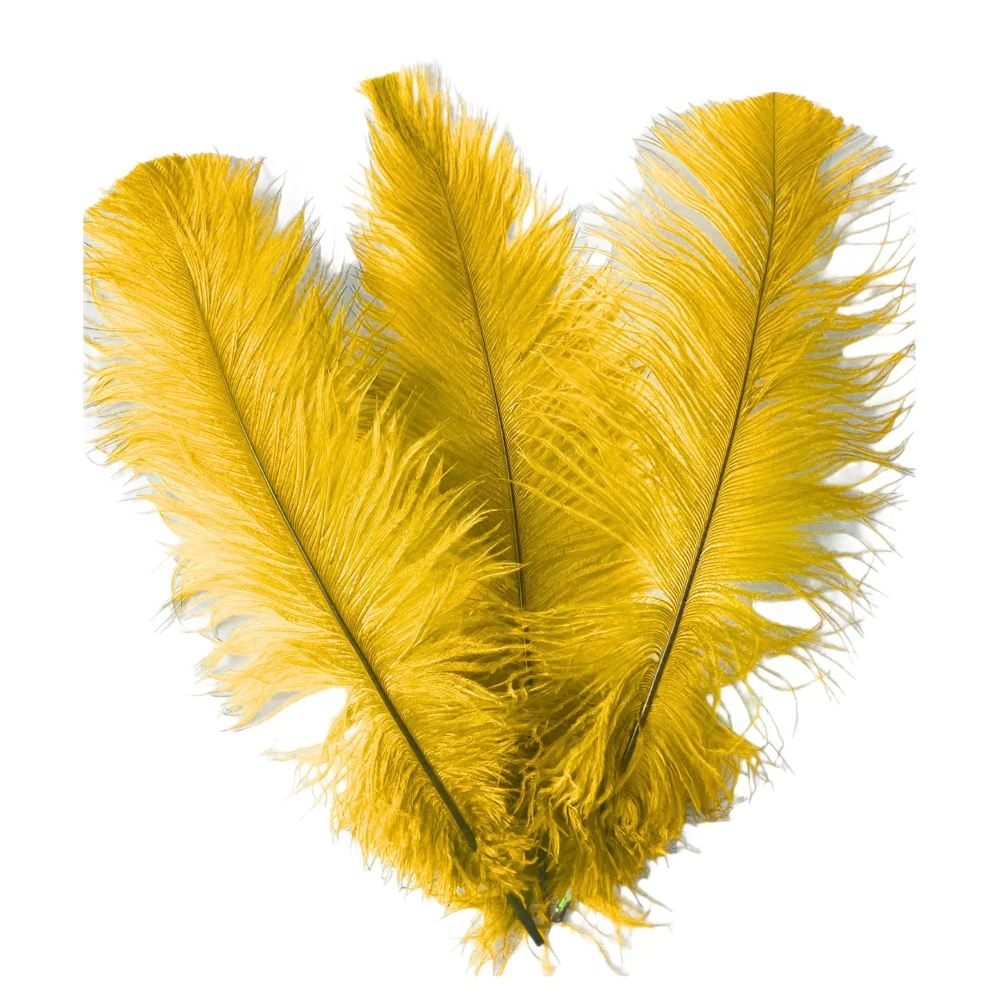 BULK 1/4lb Ostrich Feather Spad Plumes 12-16" (Golden Yellow) - www.BuyOstrichFeathers.com