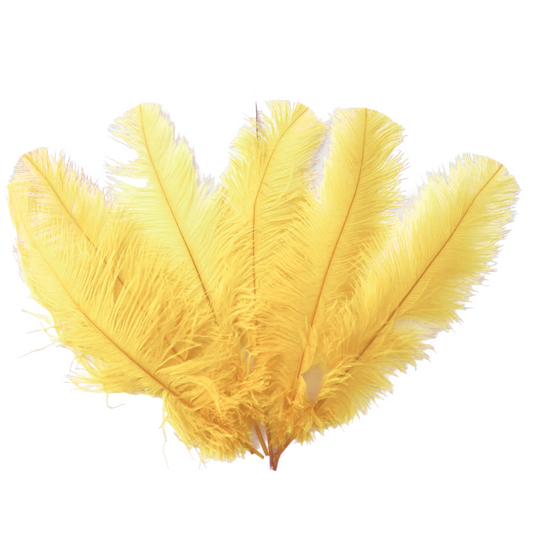 BULK 1/4lb Ostrich Feather Spad Plumes 12-16" (Champagne) - www.BuyOstrichFeathers.com