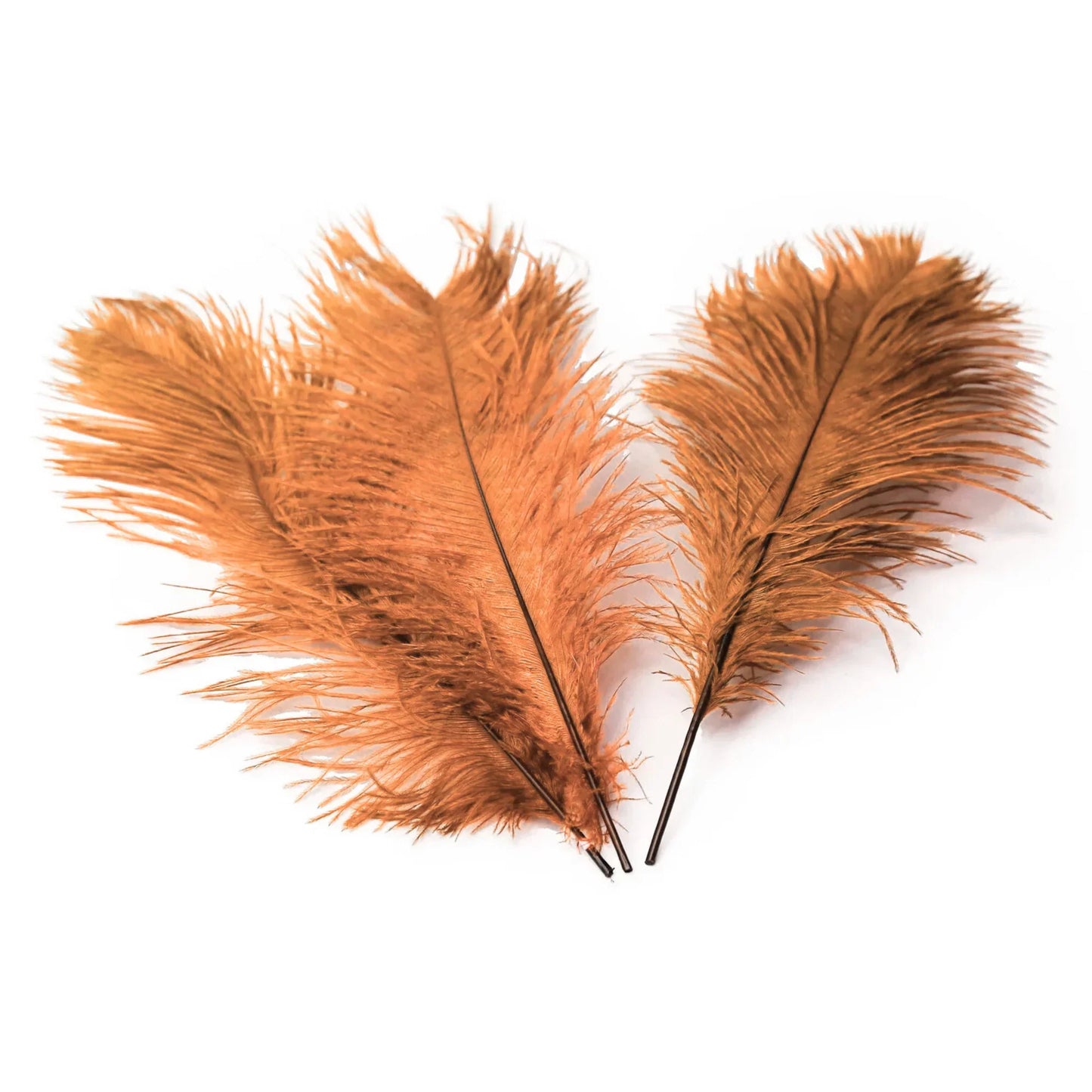 Ostrich Feather Tail Plumes 9-12" (Copper) - www.BuyOstrichFeathers.com