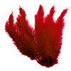 BULK 1/4lb Ostrich Feather Spad Plumes 12-16" (Burgundy) - www.BuyOstrichFeathers.com