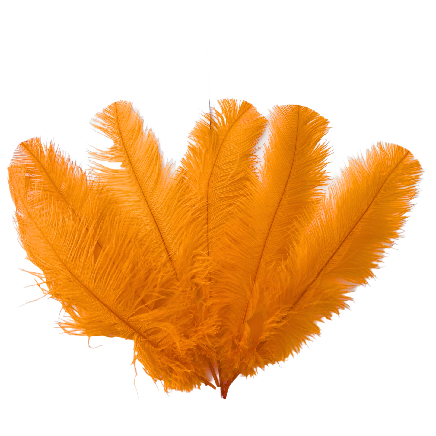 Ostrich Flexible Feathers 11-14" (Copper) - www.BuyOstrichFeathers.com
