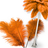 Complete Feather Centerpiece With 16" Vase (Orange) - www.BuyOstrichFeathers.com