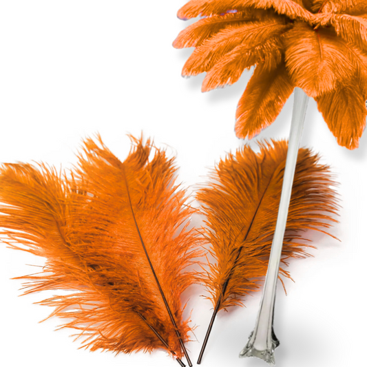 Complete Feather Centerpiece With 16" Vase (Orange) - www.BuyOstrichFeathers.com