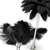 Complete Feather Centerpiece With 16" Vase (Black) - www.BuyOstrichFeathers.com