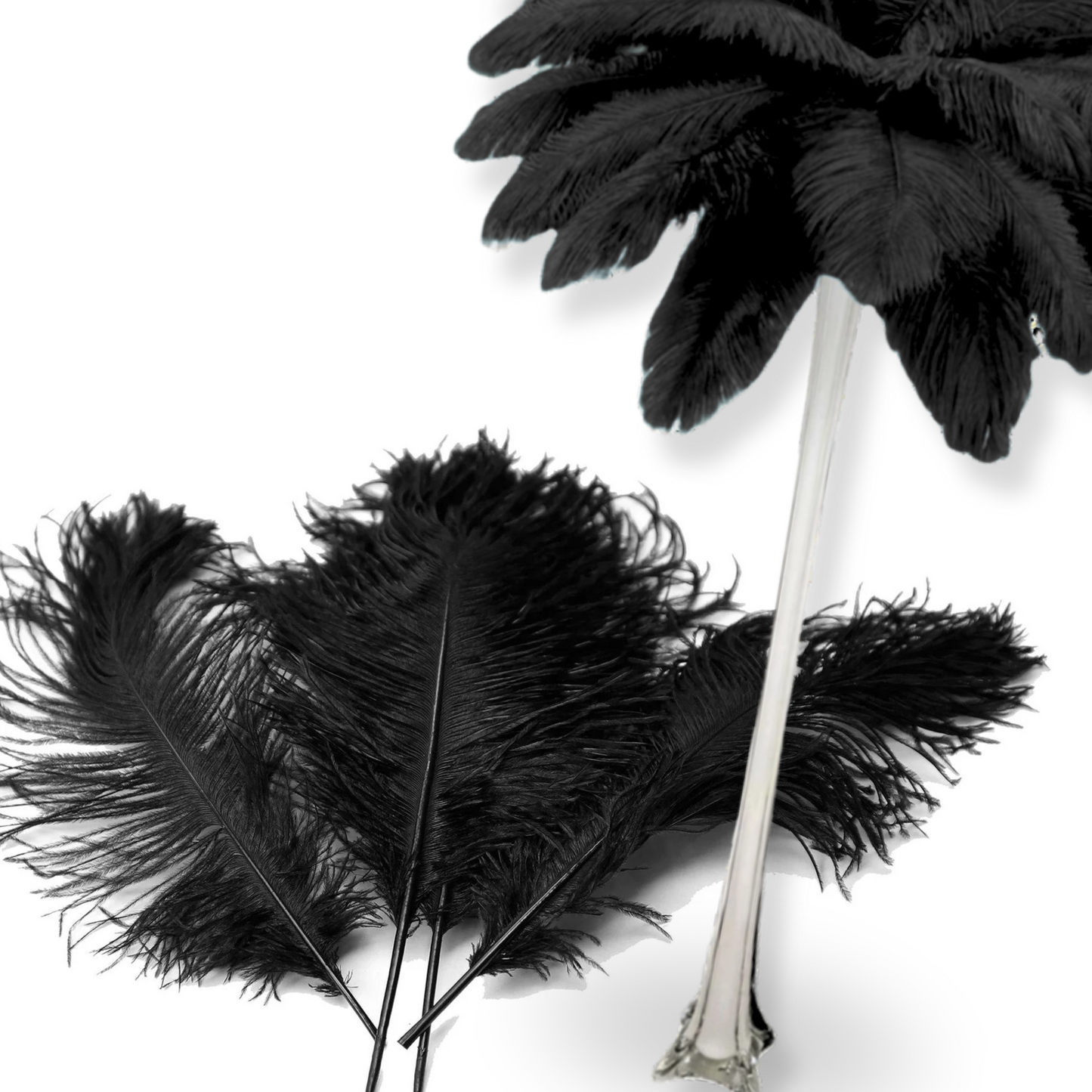 Complete Feather Centerpiece With 16" Vase (Black) - www.BuyOstrichFeathers.com