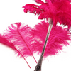 Complete Feather Centerpiece With 24" Vase (Fuchsia) - www.BuyOstrichFeathers.com