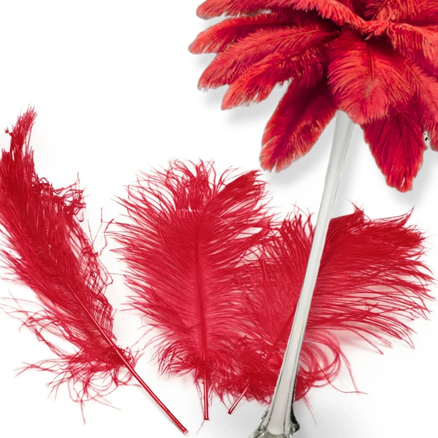 Complete Feather Centerpiece With 24" Vase (Red) - www.BuyOstrichFeathers.com