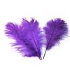 Ostrich Feather Tail Plumes 15-18" (Purple) - www.BuyOstrichFeathers.com