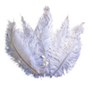 Ostrich Feather Spad Plumes 15-18" (White) - www.BuyOstrichFeathers.com