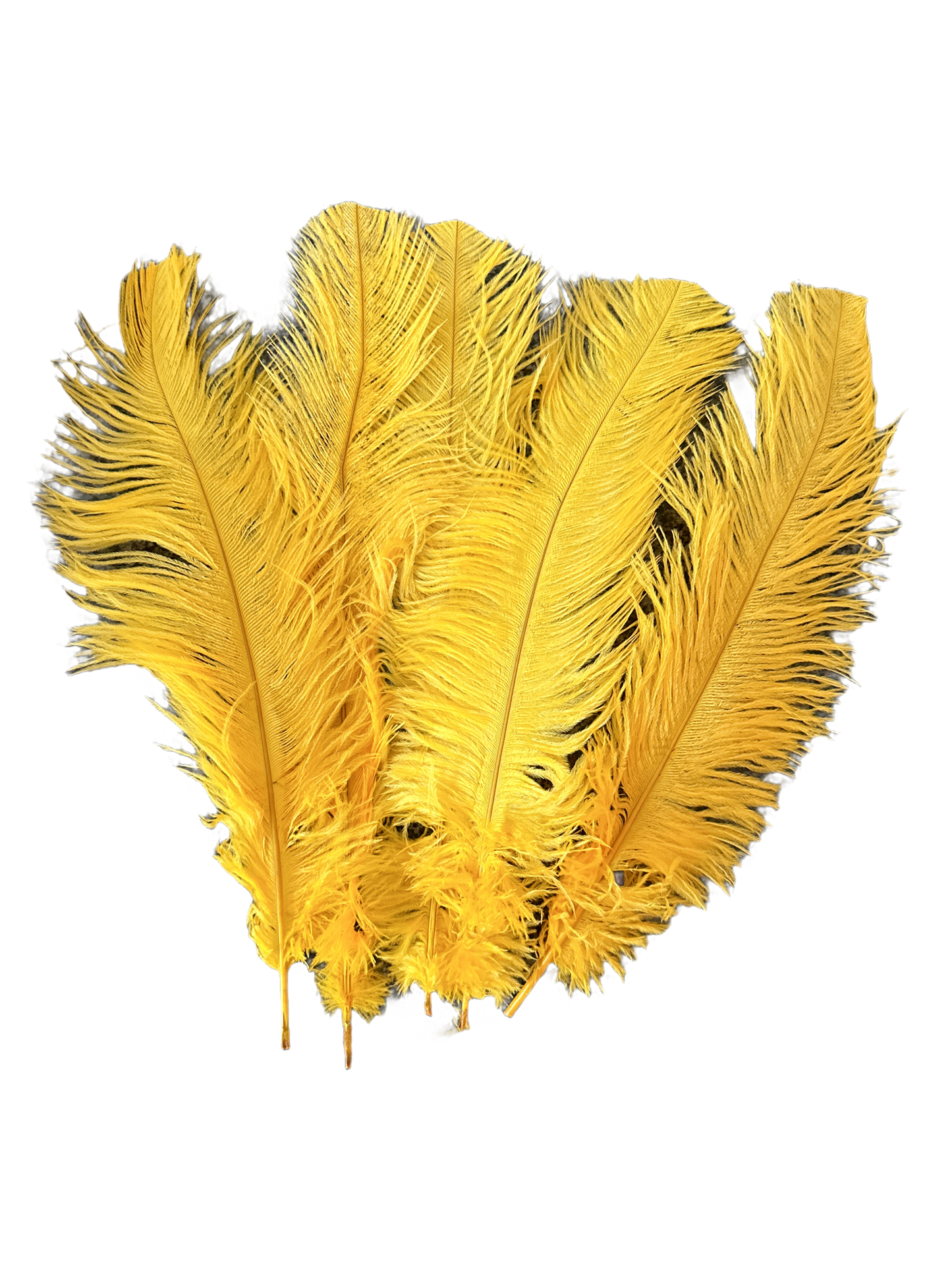golden yellow ostrich feathers
