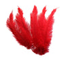 Ostrich Feather Spad Plumes 12-15" (Red) - Buy Ostrich Feathers