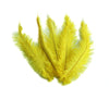 Ostrich Feather Spad Plumes 12-15" (Yellow) - Buy Ostrich Feathers