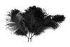 Ostrich Flexible Feathers 9-12" (Black) - Buy Ostrich Feathers