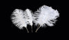 Complete Feather Centerpiece With 16" Vase (White) - Buy Ostrich Feathers