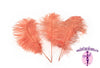 Complete Feather Centerpiece With 20" Vase (Apricot) - Buy Ostrich Feathers