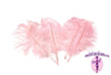 Complete Feather Centerpiece With 20" Vase (Baby Pink) - Buy Ostrich Feathers