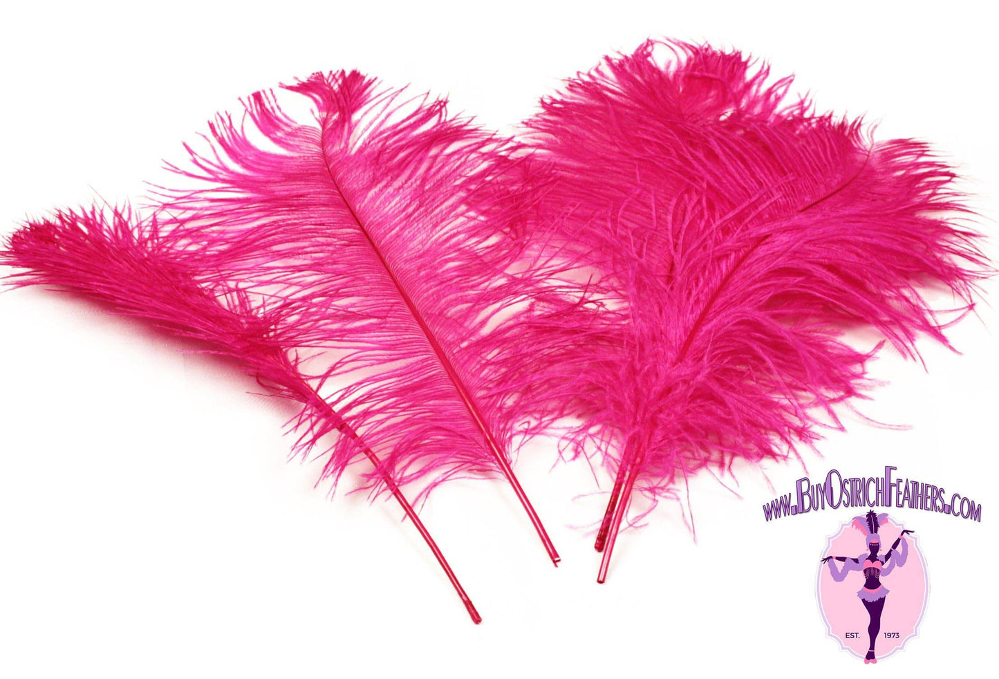 Complete Feather Centerpiece With 24" Vase (Fuchsia) - Buy Ostrich Feathers