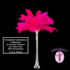 Complete Feather Centerpiece With 24" Vase (Fuchsia) - Buy Ostrich Feathers