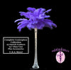 Complete Feather Centerpiece With 24" Vase (Purple) - Buy Ostrich Feathers