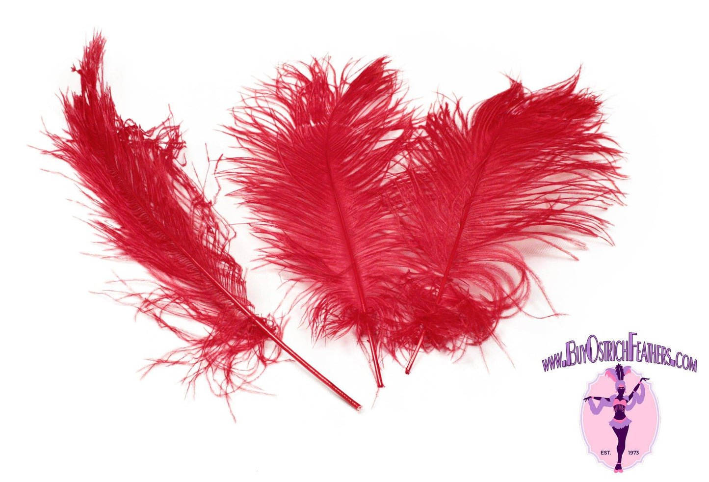 Complete Feather Centerpiece With 24" Vase (Red) - Buy Ostrich Feathers